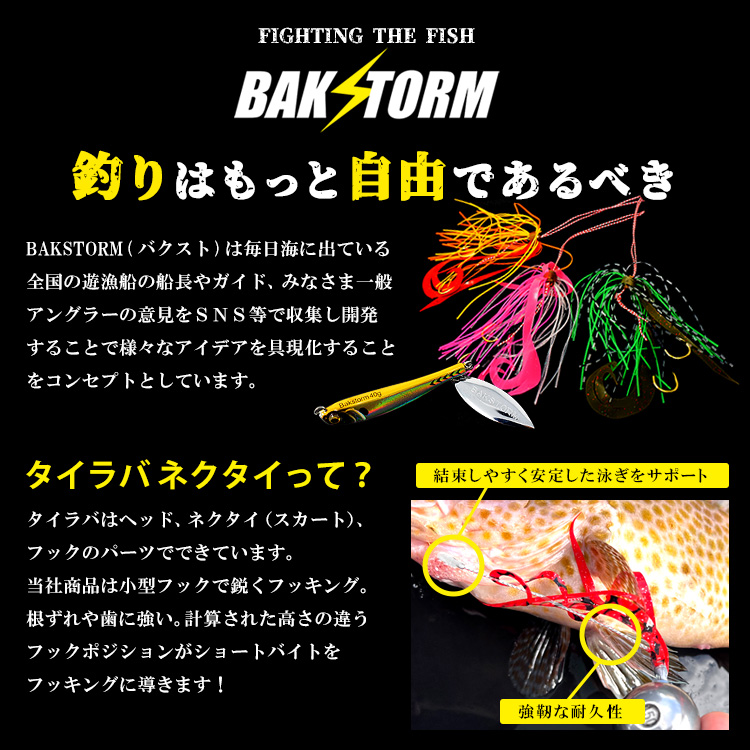 BAKSTORMタイラバネクタイフック2個付長さ11cm単品スカート交換用